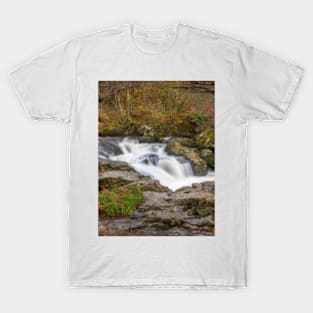 Aira High Force Waterfall T-Shirt